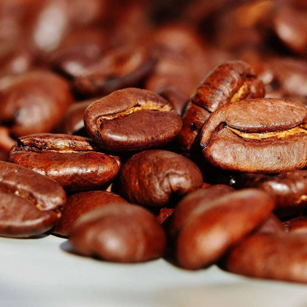 DJENDE Cameroon Single Origin Arabica Coffee
